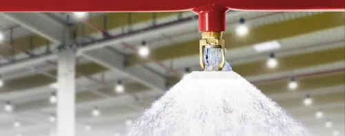 Water Spray & Deluge Systems